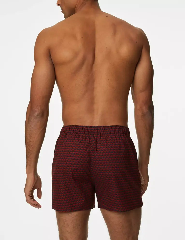 Pack de 3 boxers de tela diseño animal