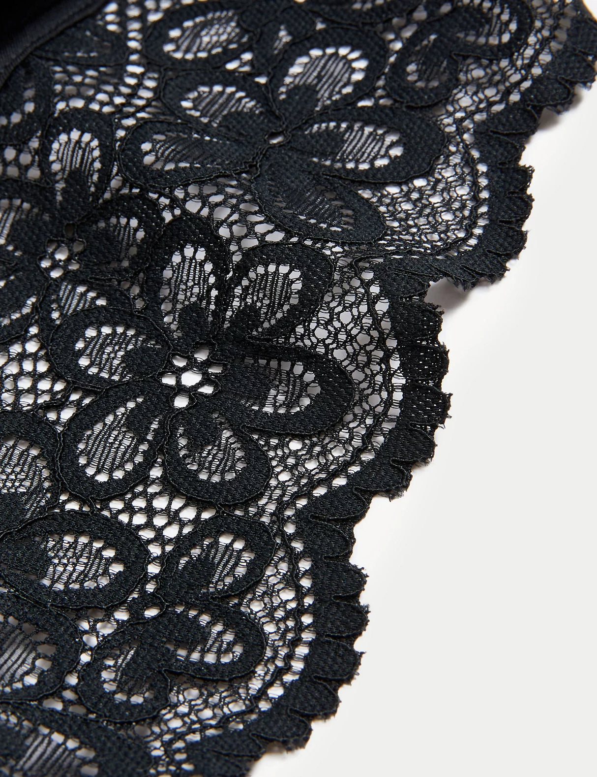 Brasileña de encaje Cleo