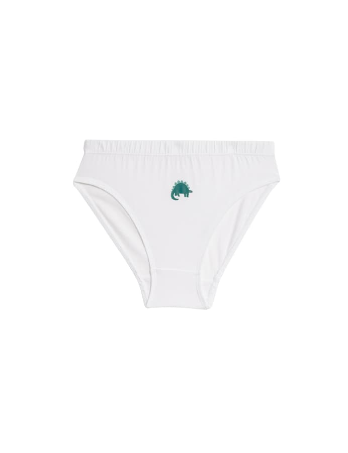 Pack de 7 briefs con diseño Dinosaurios