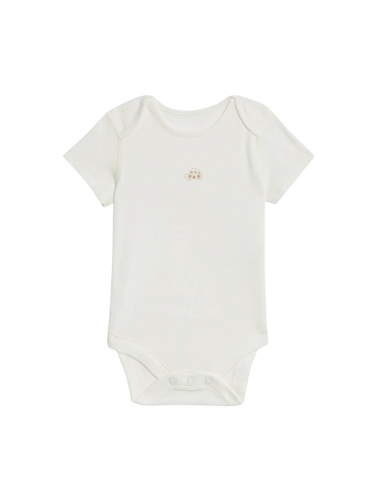 Pack de 7 bodies diseño tortugas