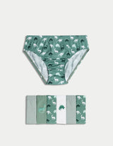 Pack de 7 briefs con diseño Dinosaurios
