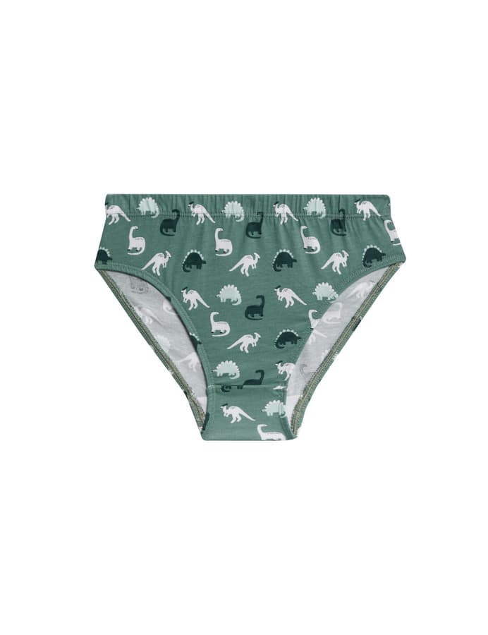 Pack de 7 briefs con diseño Dinosaurios
