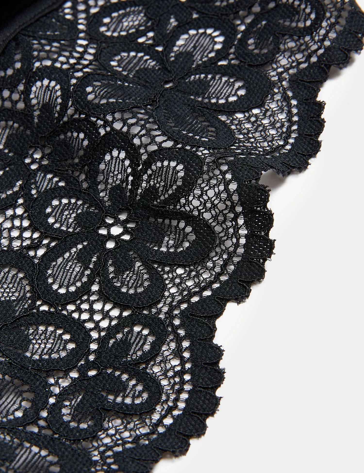 Brasileña de encaje Cleo