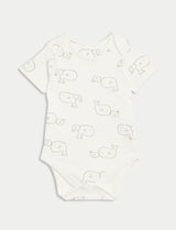 Pack de 7 bodies diseño verde