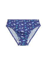 Pack de 7 briefs diseño Dino