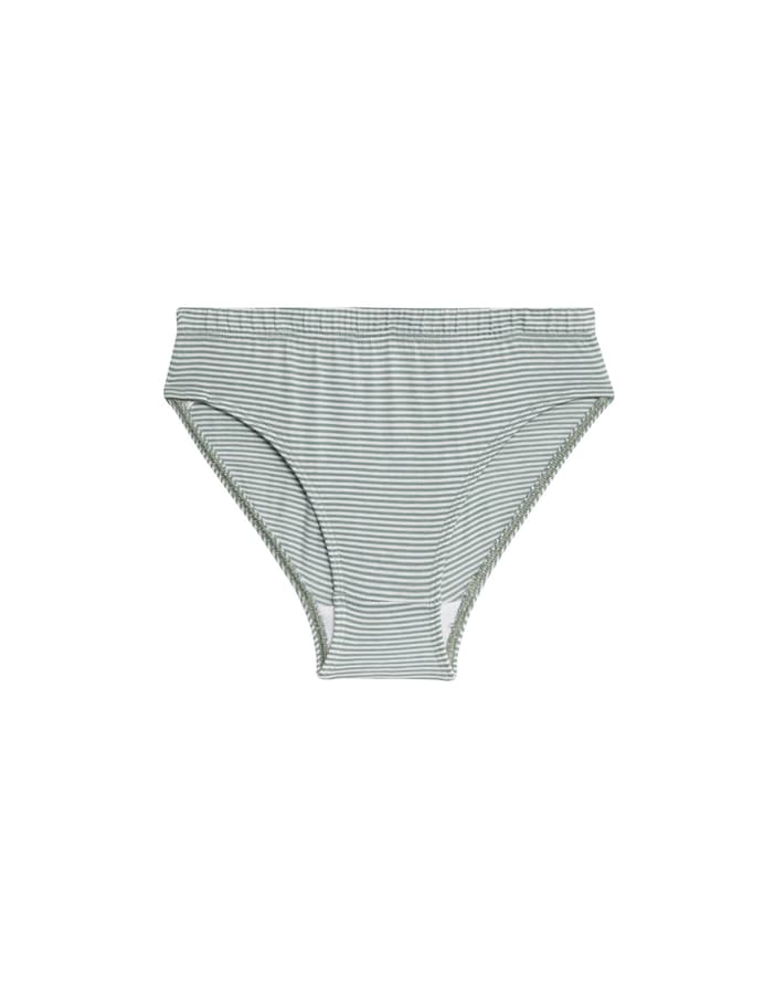 Pack de 7 briefs con diseño Dinosaurios